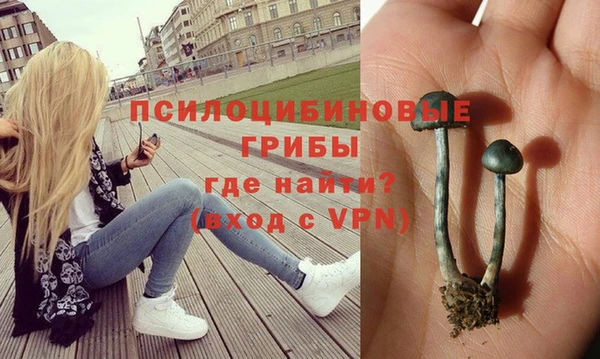 бошки Баксан