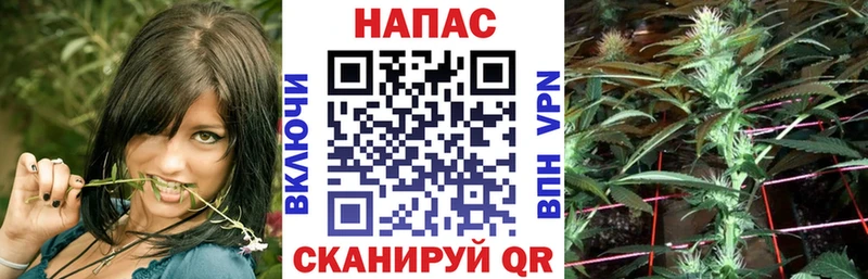 omg ссылки  Петухово  Марихуана SATIVA & INDICA 